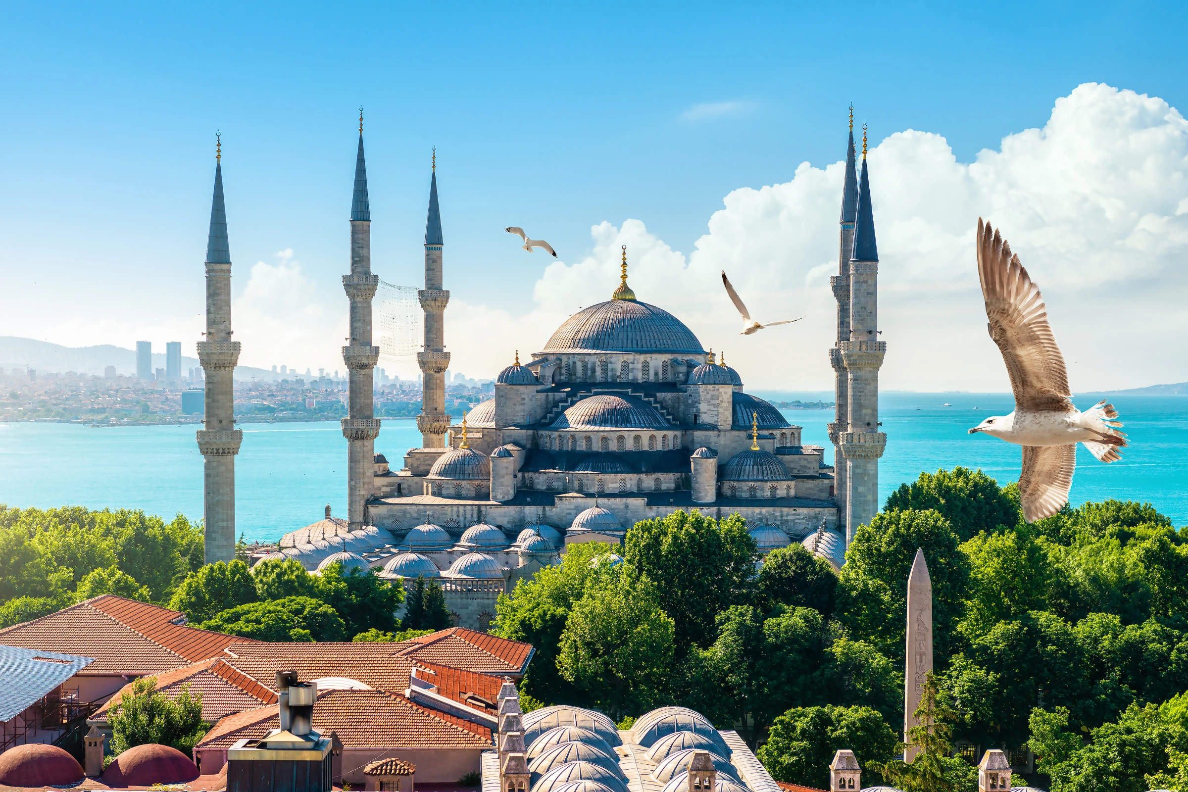 16_The_Blue_Mosque[1].webp